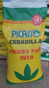 Imagen de Cebadilla Criolla